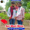 Ari Mari Bittu